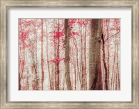 Pink & Brown Fantasy Forest Fine Art Print