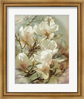 Vintage Inspired Magnolias Fine Art Print