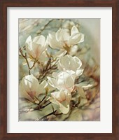Vintage Inspired Magnolias Fine Art Print