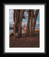 Between the Trees Fine Art Print