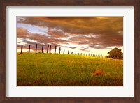 Fenceline, South Dakota Fine Art Print