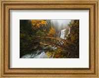 A Bridge in the Forest Fine Art Print