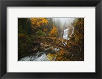 A Bridge in the Forest Fine Art Print