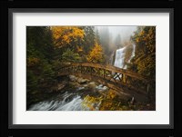 A Bridge in the Forest Fine Art Print