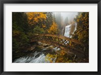 A Bridge in the Forest Fine Art Print