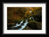 Resplendent Stream Fine Art Print