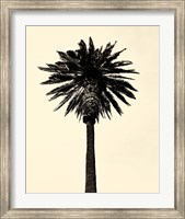 Palm Tree 1979 Tan Fine Art Print