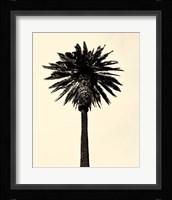 Palm Tree 1979 Tan Fine Art Print