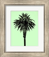 Palm Tree 1996 (Green) Fine Art Print