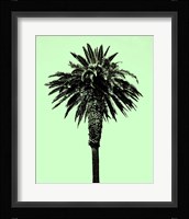 Palm Tree 1996 (Green) Fine Art Print