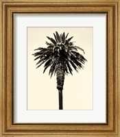 Palm Tree 1996 (Tan) Fine Art Print
