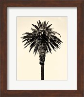 Palm Tree 1996 (Tan) Fine Art Print