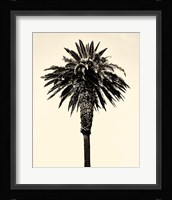 Palm Tree 1996 (Tan) Fine Art Print