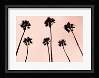 Palm Trees 1997 Copper Fine Art Print