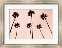 Palm Trees 1997 Copper Fine Art Print