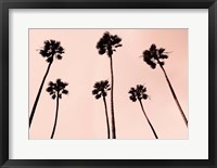 Palm Trees 1997 Copper Fine Art Print