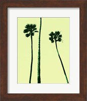 Palm Trees 2000 (Cyan) Fine Art Print