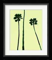 Palm Trees 2000 (Cyan) Fine Art Print