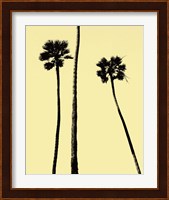 Palm Trees 2000 (Yellow) Fine Art Print
