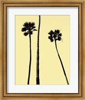 Palm Trees 2000 (Yellow) Fine Art Print