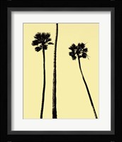 Palm Trees 2000 (Yellow) Fine Art Print