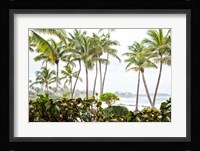 After the Dorado Rain Fine Art Print