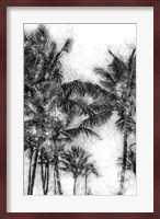 Dorado Palms 1 Fine Art Print
