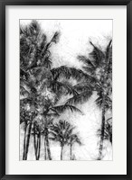 Dorado Palms 1 Fine Art Print