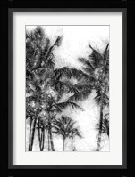Dorado Palms 1 Fine Art Print