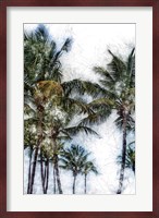 Dorado Palms 2 Fine Art Print