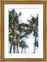 Dorado Palms 2 Fine Art Print
