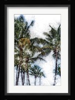 Dorado Palms 2 Fine Art Print