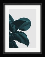 Long Way Home Fine Art Print