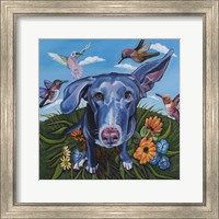 Babs n' Birds Fine Art Print