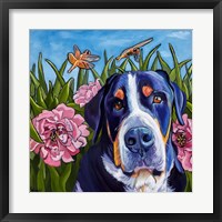 Dog and Dragonflies Fine Art Print