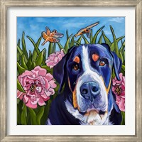 Dog and Dragonflies Fine Art Print