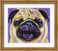 Purple Pug Fine Art Print