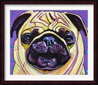 Purple Pug Fine Art Print