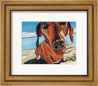 Sand Dog Fine Art Print