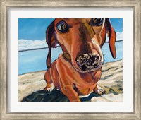 Sand Dog Fine Art Print