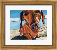 Sand Dog Fine Art Print