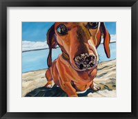 Sand Dog Fine Art Print