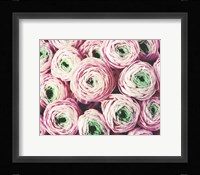 Bundle of Sweetness Fine Art Print