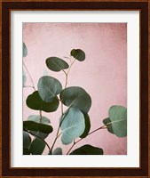 Sage Eucalyptus No. 2 Fine Art Print