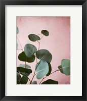 Sage Eucalyptus No. 2 Fine Art Print