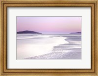 Silver Silence Fine Art Print