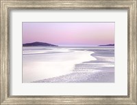 Silver Silence Fine Art Print