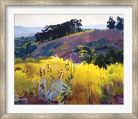 Late Sun, Eucalyptus on the Ridge Fine Art Print