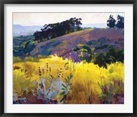 Late Sun, Eucalyptus on the Ridge Fine Art Print