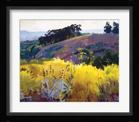 Late Sun, Eucalyptus on the Ridge Fine Art Print